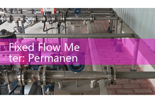 Fixed Flow Meter: Permanent Pipe Installation for Dedicated Process Lines
